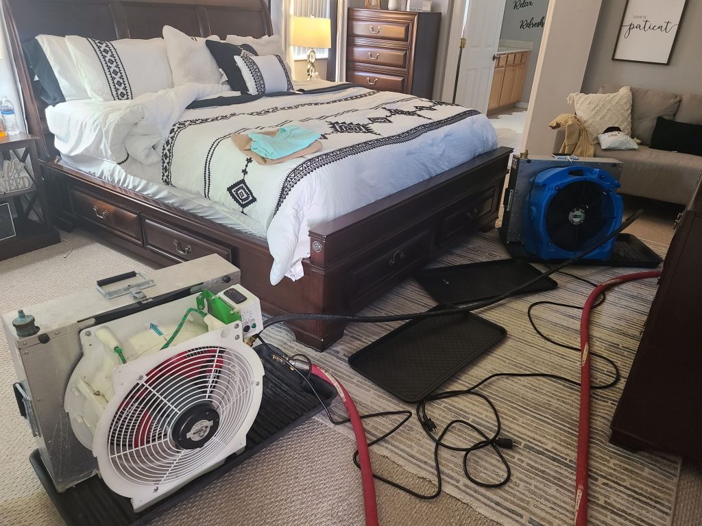 Bed Bug Removal in Dunedin, FL