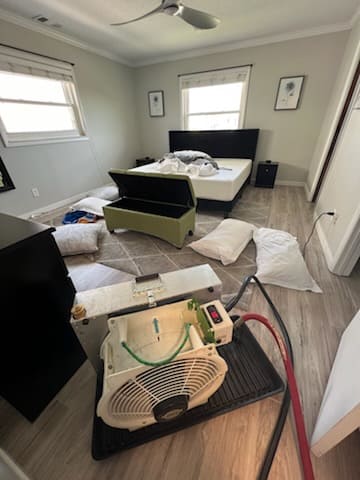 Bed Bug Removal in Safety Harbor, FL