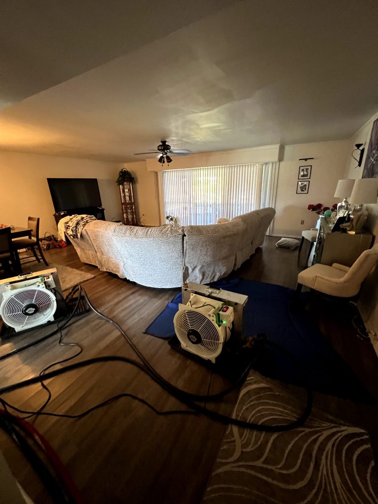 Your Sarasota Bed Bug Free Home