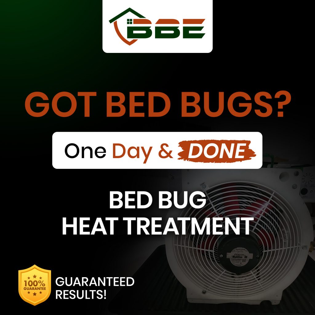 Bed Bug Removal in St. Petersburg, FL