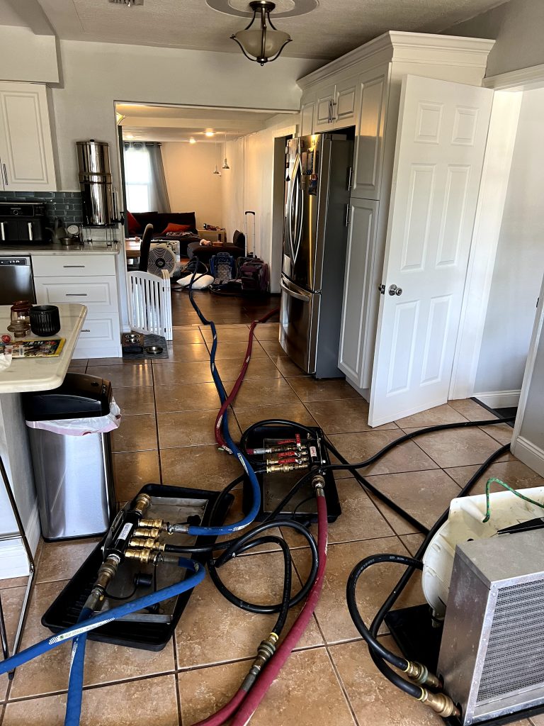 Bed Bug Removal in Maitland, FL