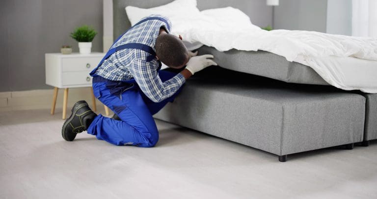 Bed Bug Inspection Services - Detecting the Unseen for a Pest-Free Environment.