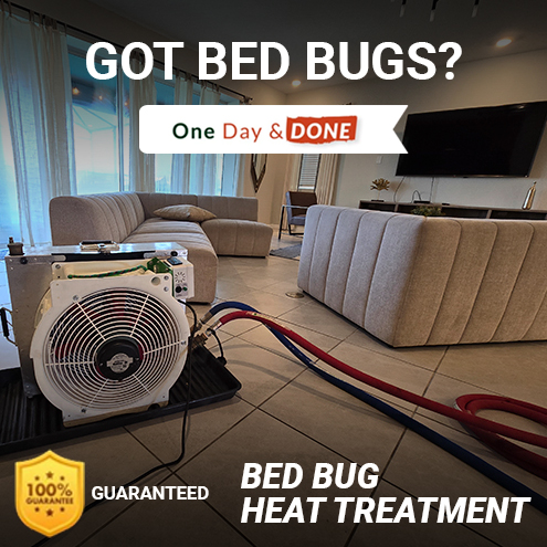 Bed Bug Removal in Polk City, FL