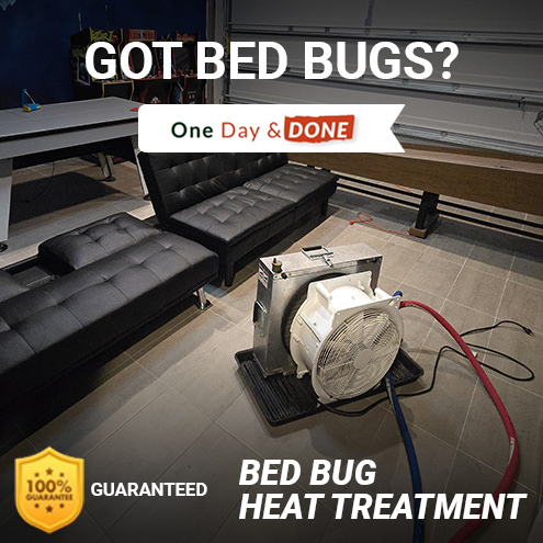 Bed Bug Removal in Lake Buena Vista, FL